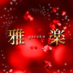 ���������Y�G�X�e ��y garaku